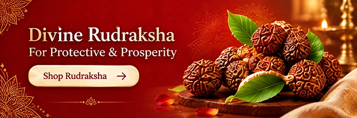 Divine Rudraksha - For Protective & Prosperity
